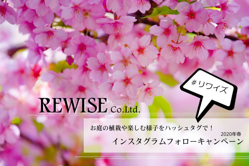 お庭のREWISEもインスタグラムやってます！