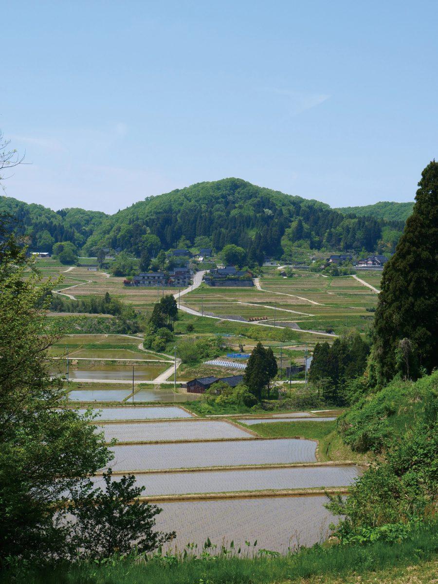 定期借地権で家を建てるという方法